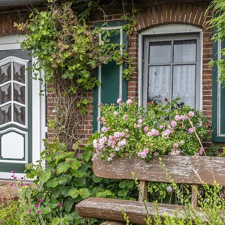 50029 Holiday home Schillig